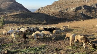 discover crete