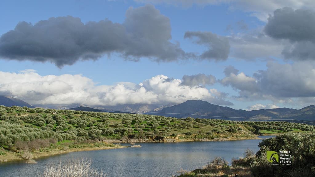 Dynamic Cultural Initiatives and Ini Dam: Shaping the Landscape