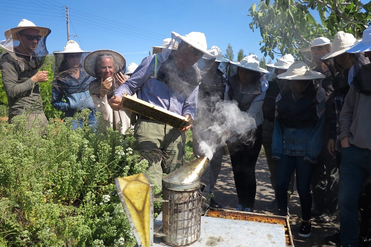 Meli Pap: Become a beekeeper for a day