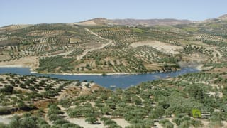 Partira Dam