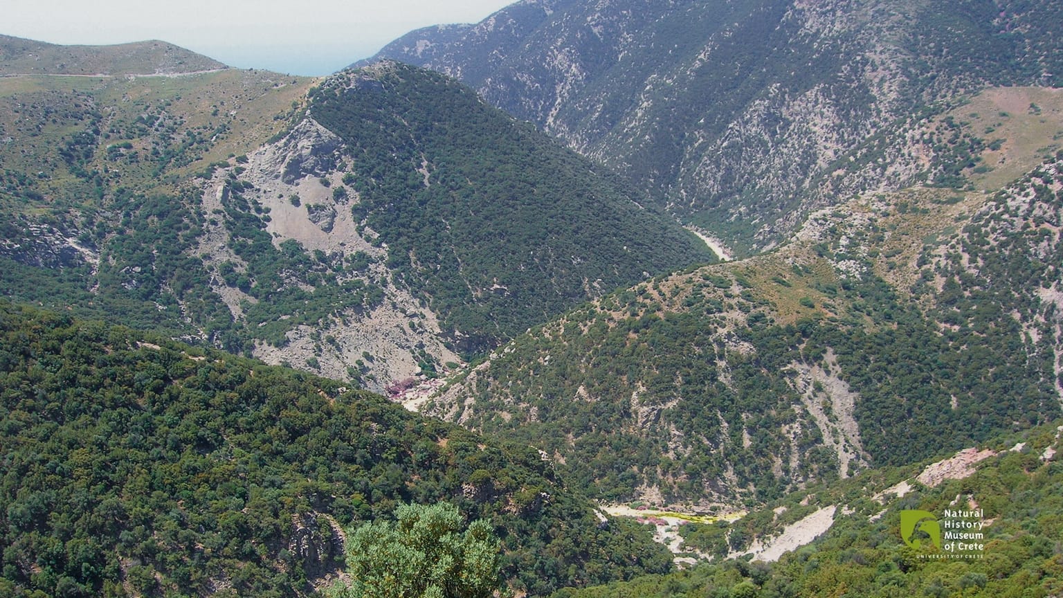 Φαράγγι Αναποδάρη