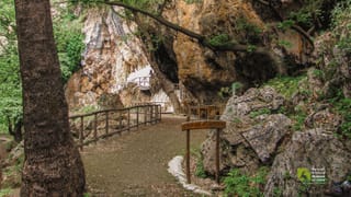 The Enchanting Patsos Gorge