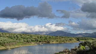 Dynamic Cultural Initiatives and Ini Dam: Shaping the Landscape
