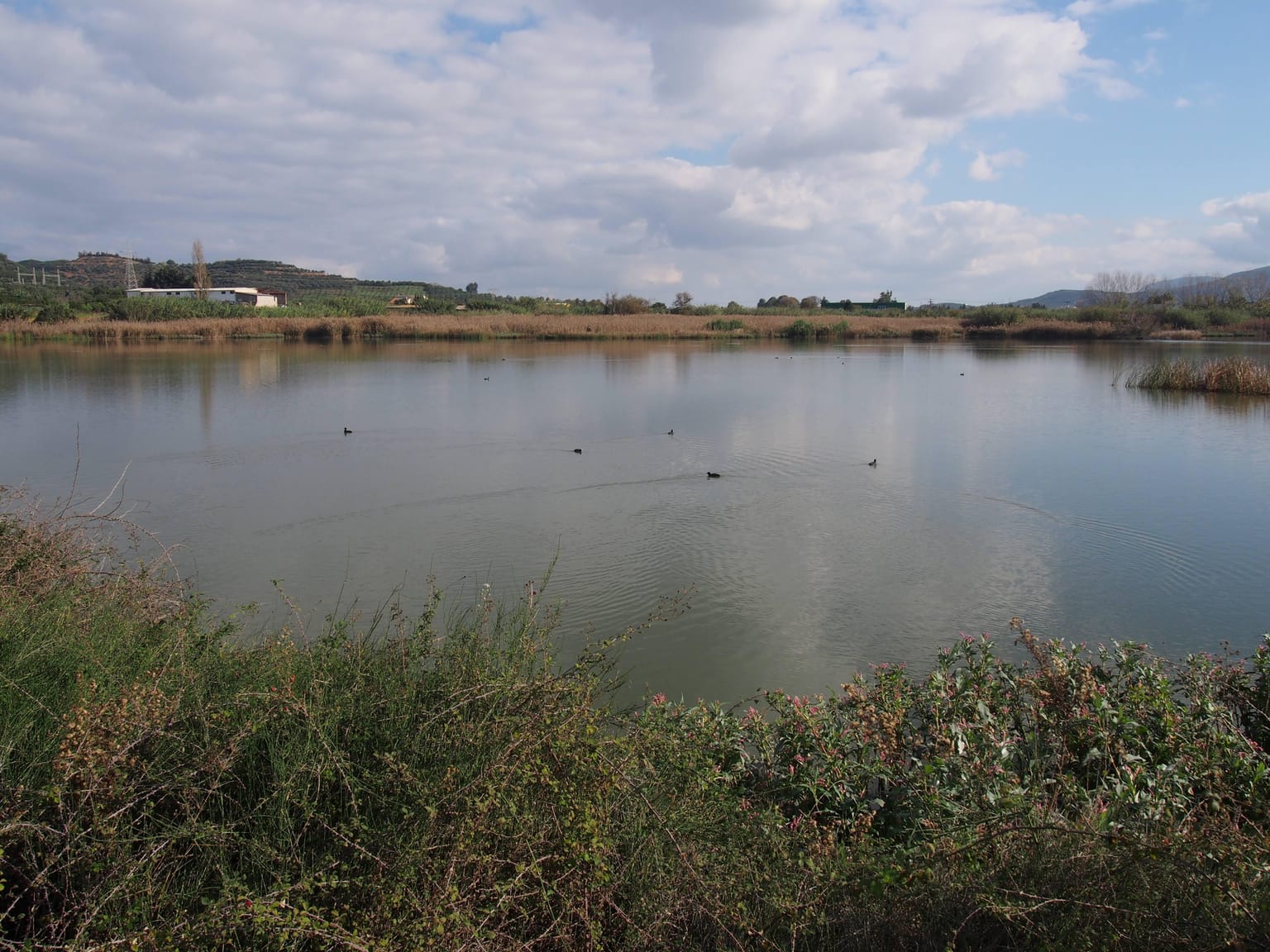 The artificial Agia Lake