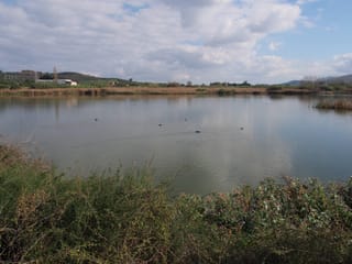 The artificial Agia Lake