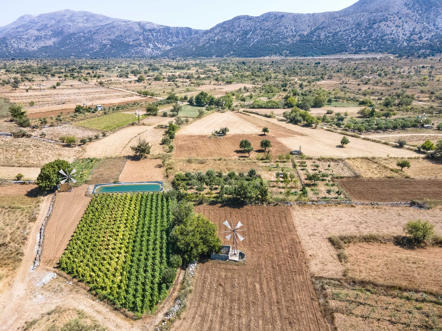 Windmills at Seli Ambelou