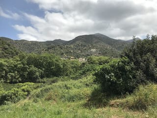 Fodele: The Village of D Theotokopoulos (El Greco)