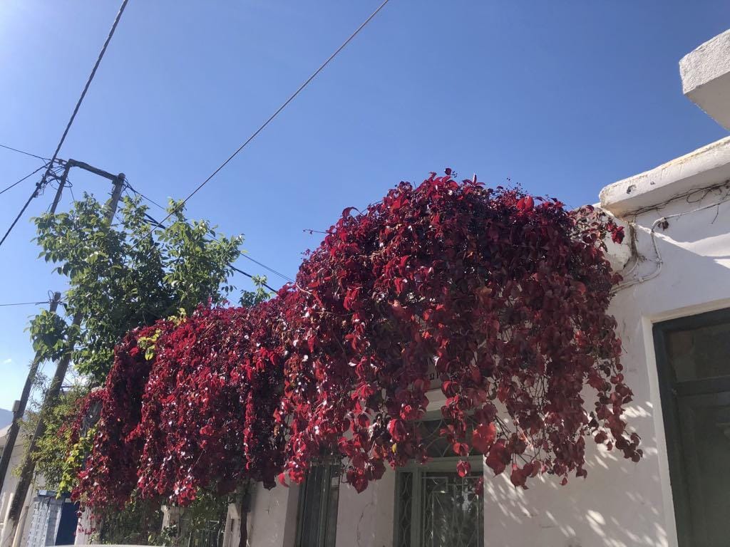Κρούστας: προσφέρεται για γαστρονομικές εμπειρίες!