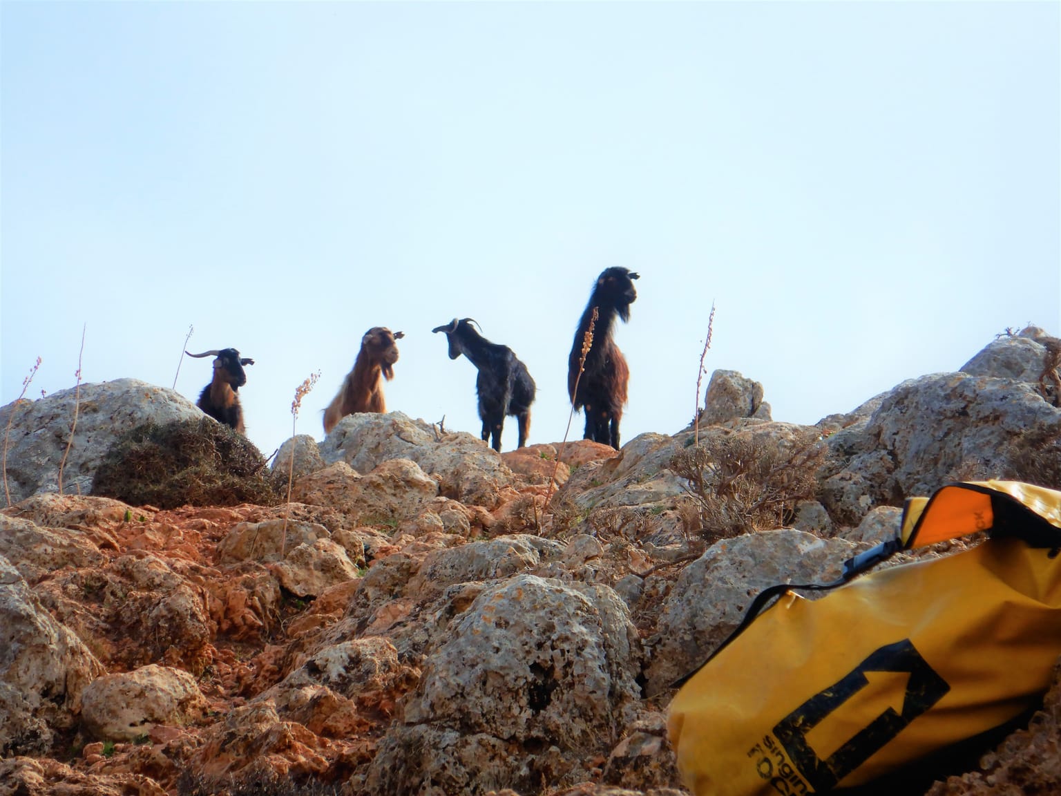 Canyoning at Diploxachalo Gorge