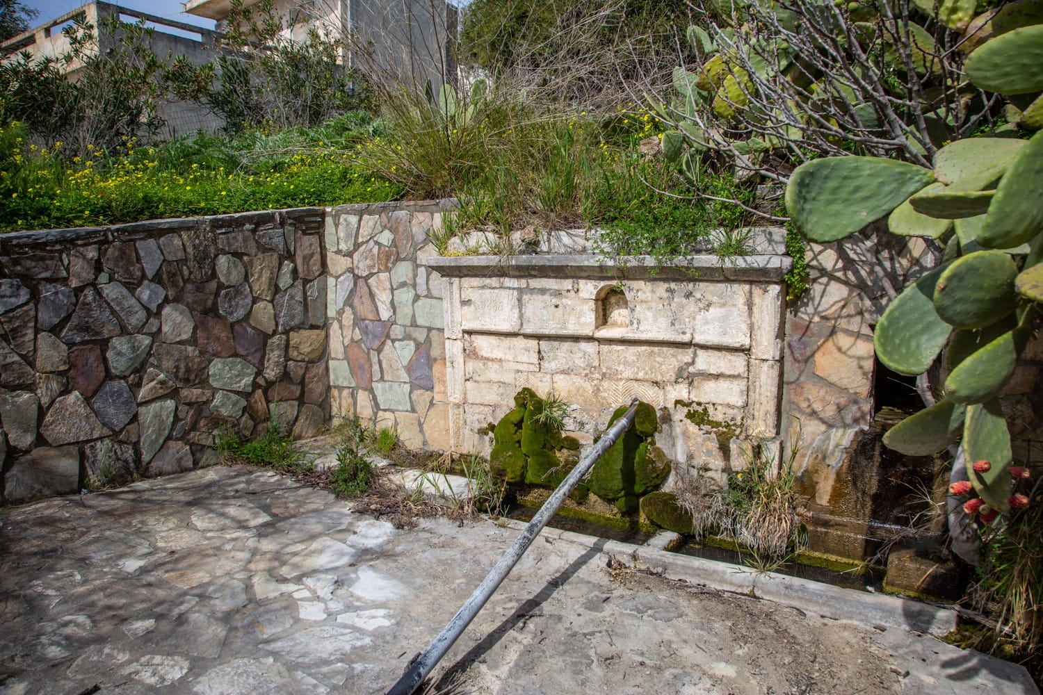 The Fountain in Agia Paraskevi, Amari