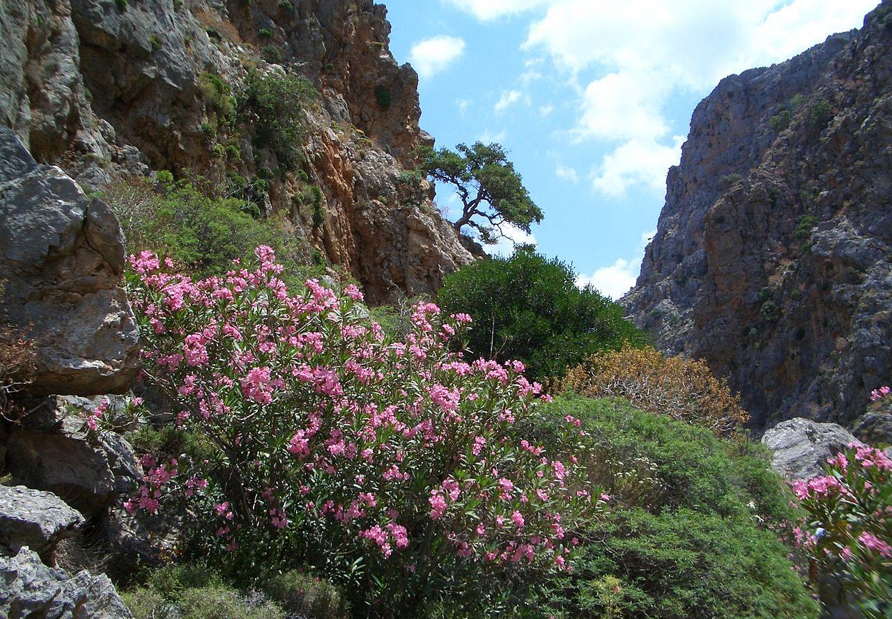discover crete