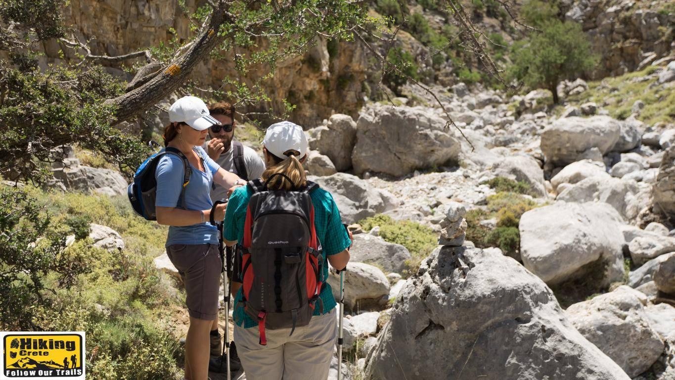 discover crete