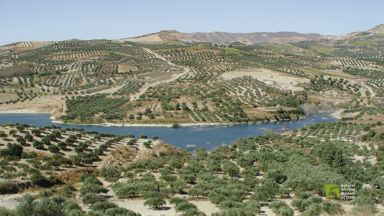 discover crete