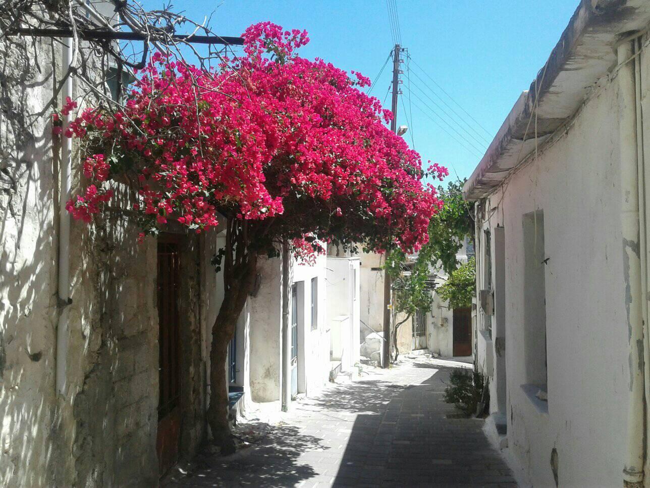 discover crete