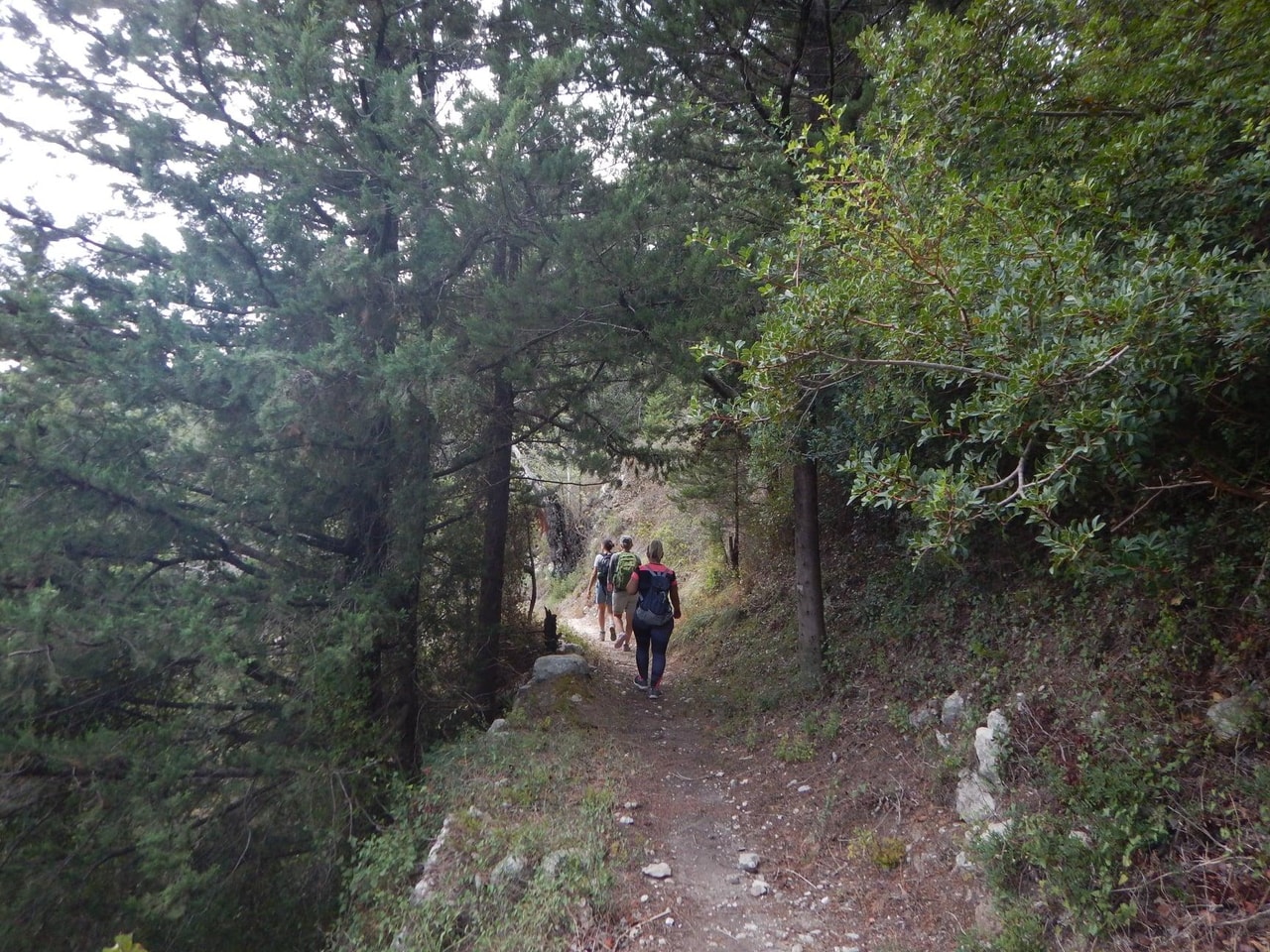 discover crete