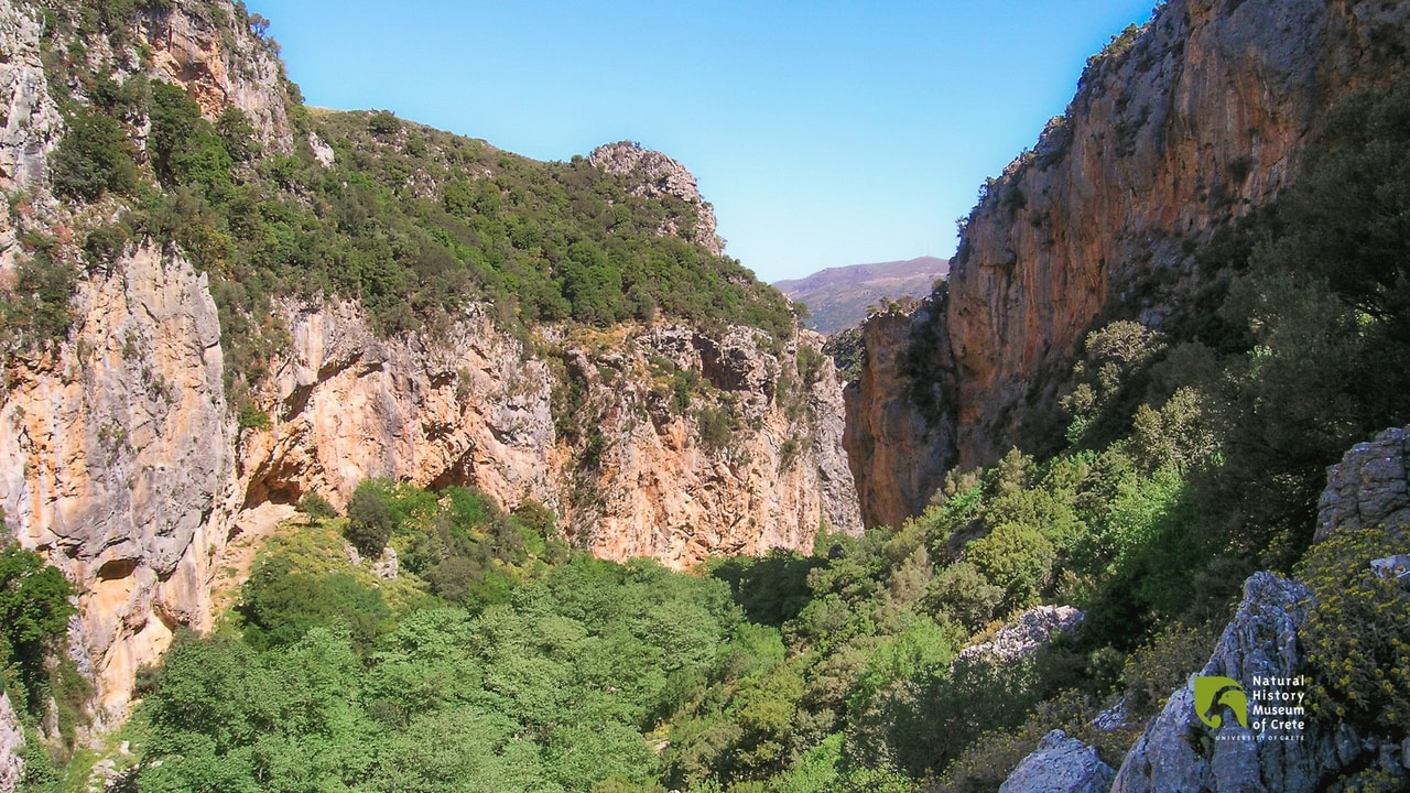discover crete