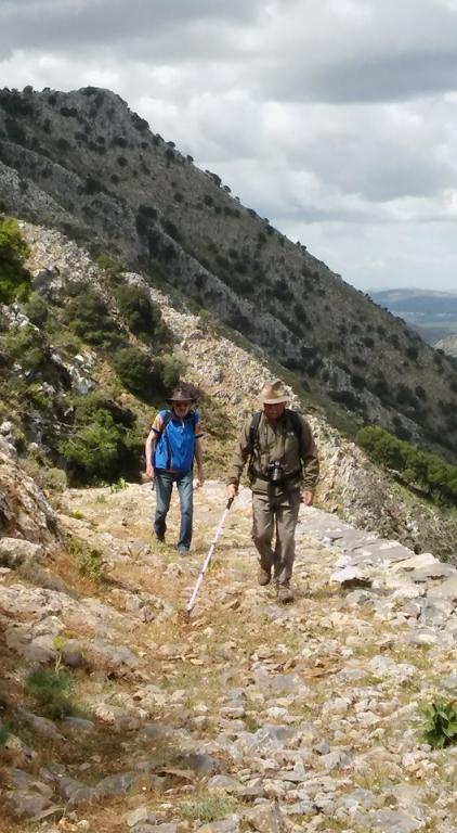 discover crete