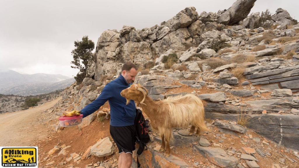 discover crete