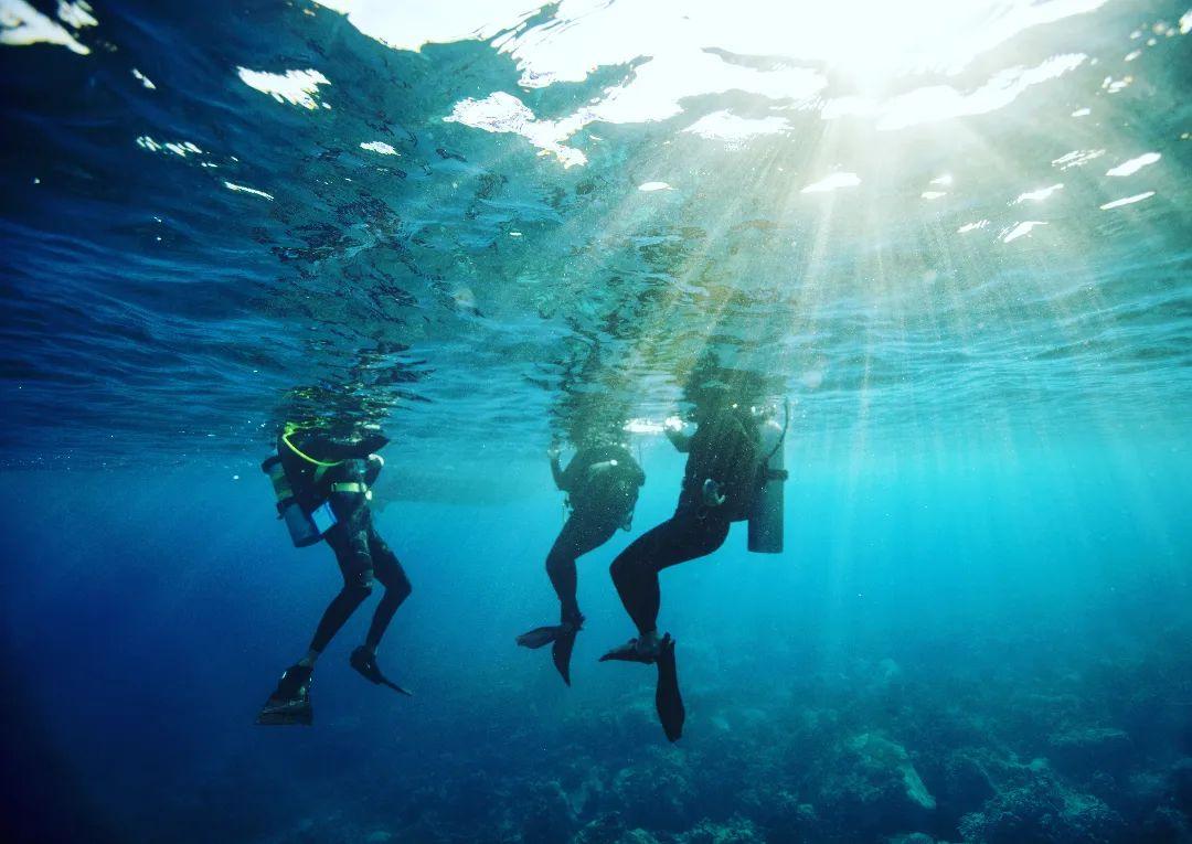 discover crete