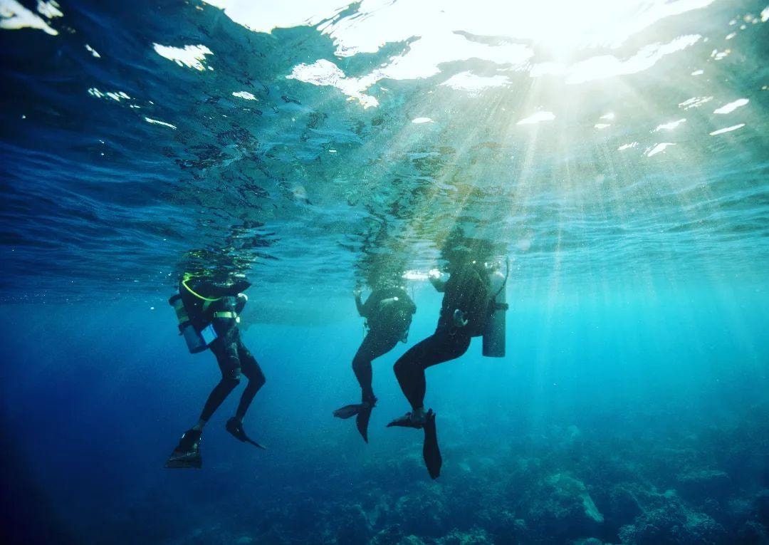 discover crete