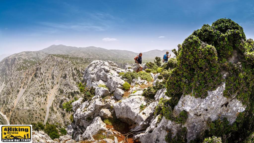 discover crete