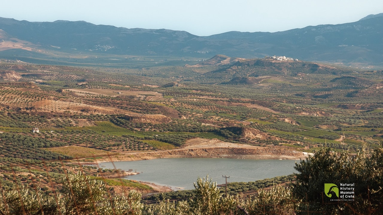 discover crete