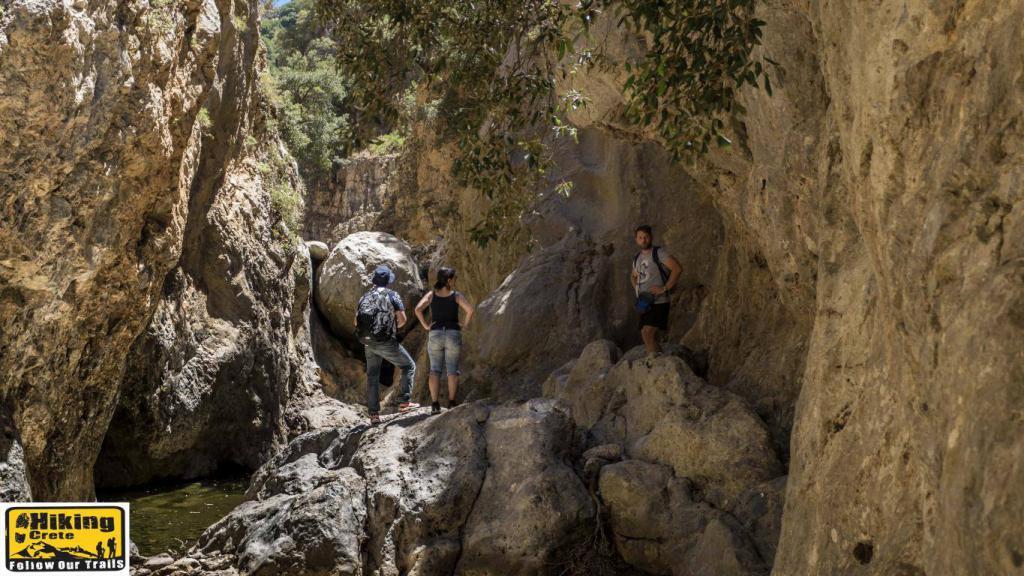 discover crete