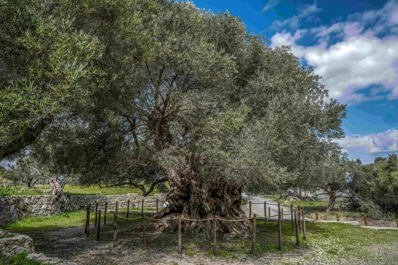 discover crete