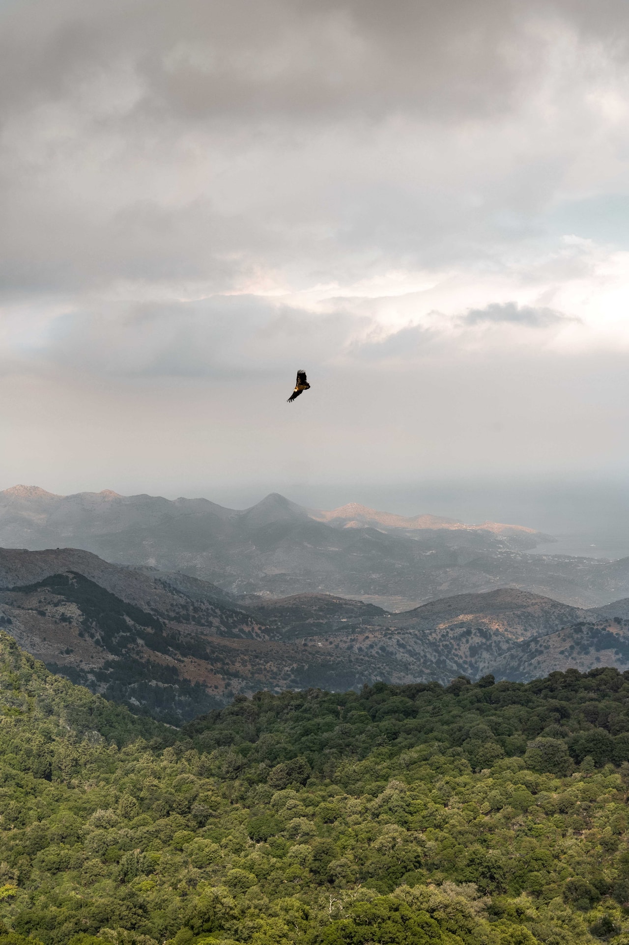 discover crete