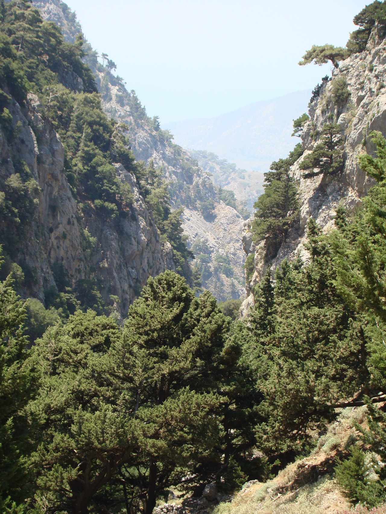 discover crete