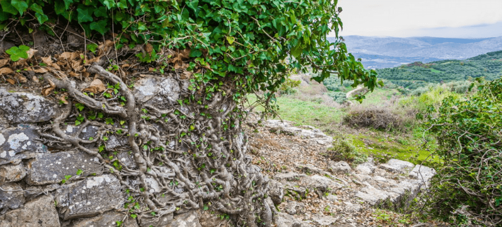 discover crete