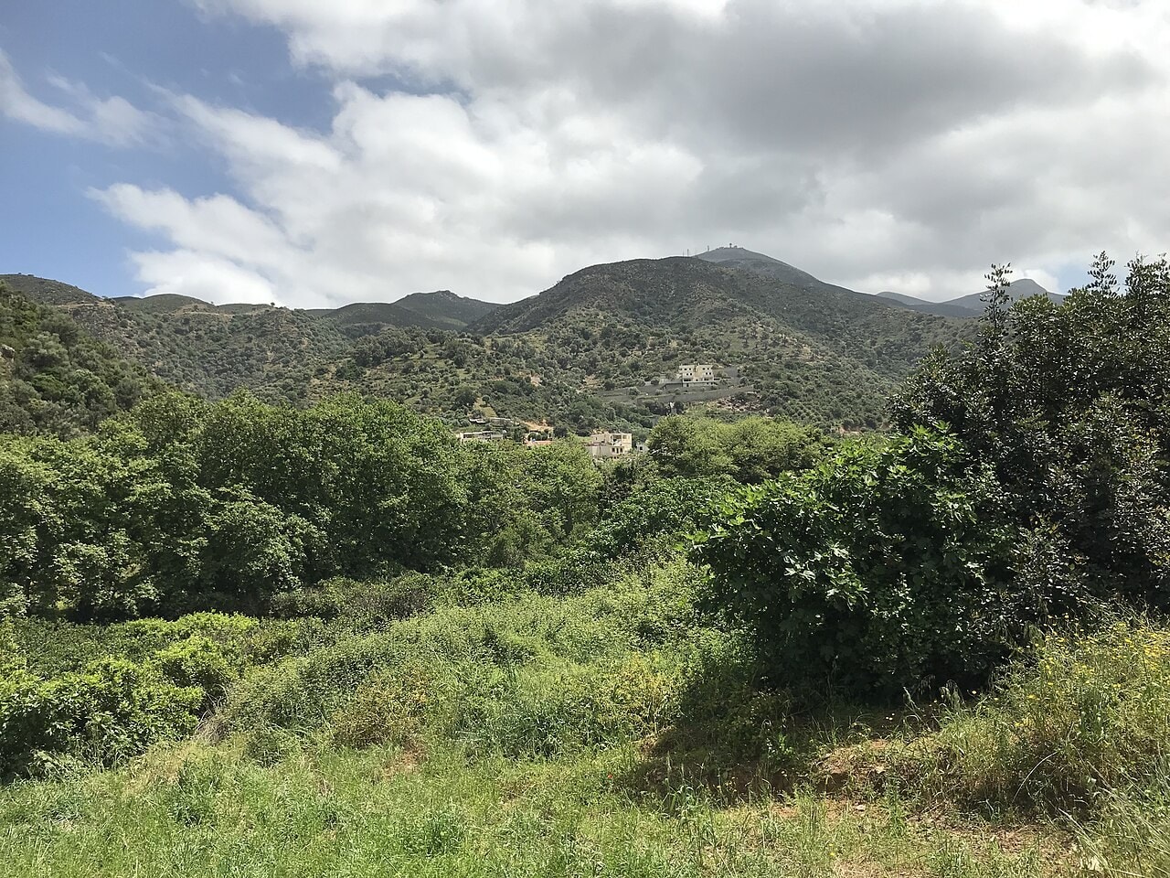 discover crete