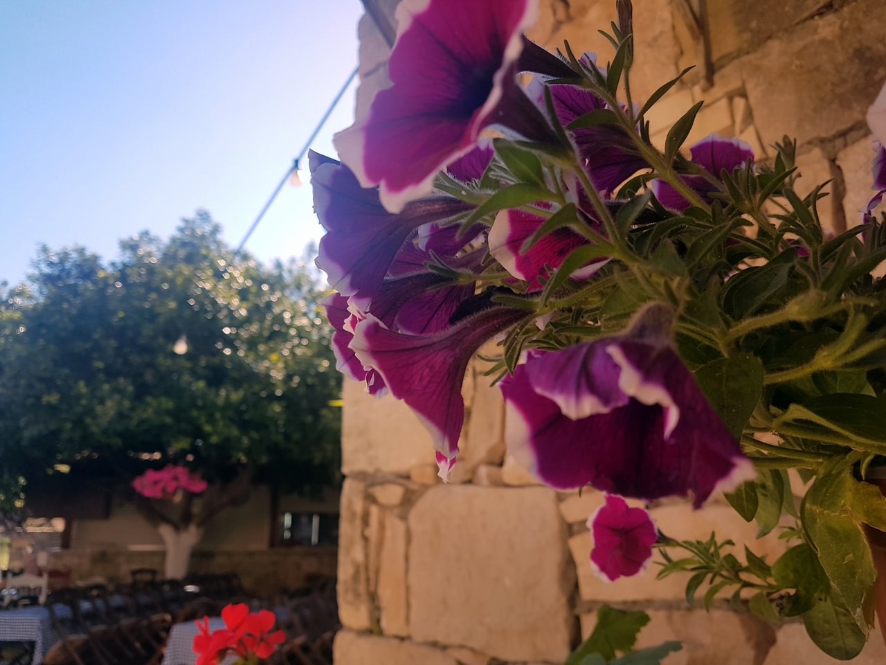 discover crete