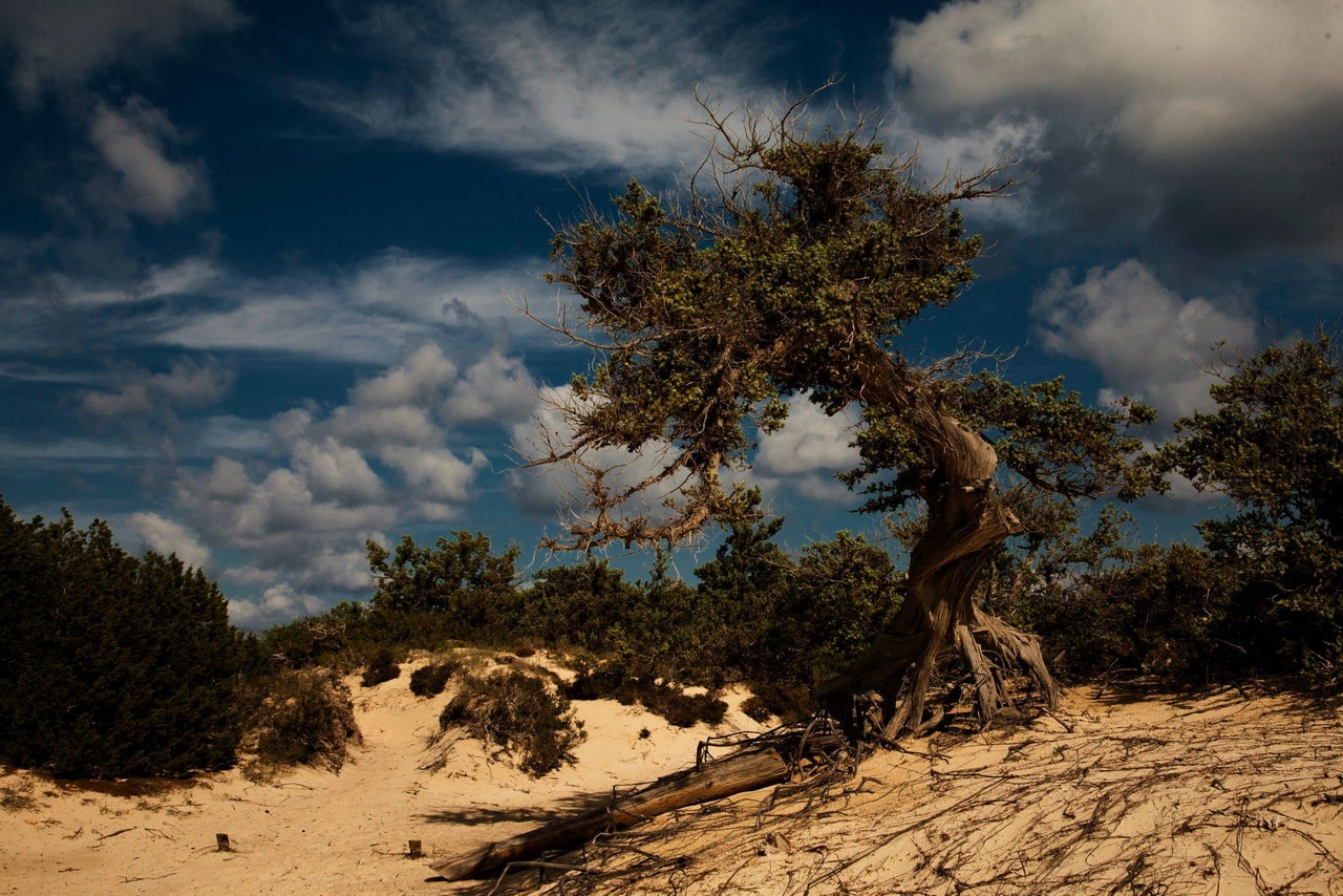 discover crete