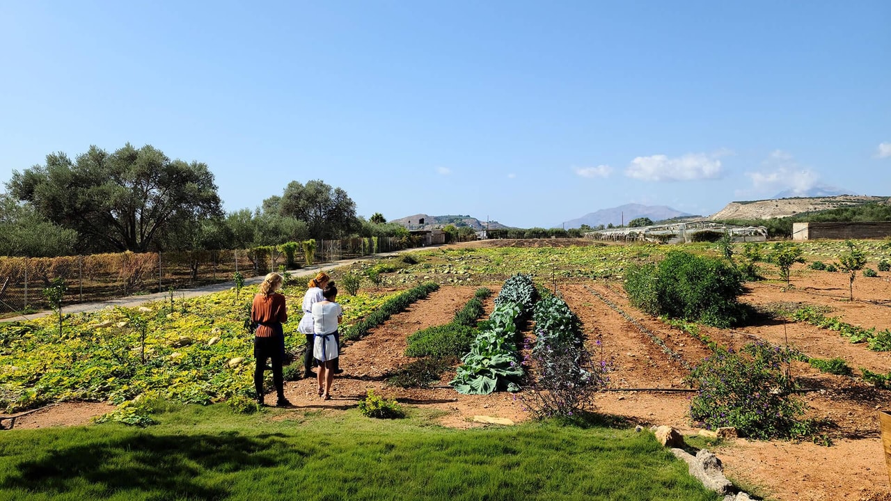 discover crete