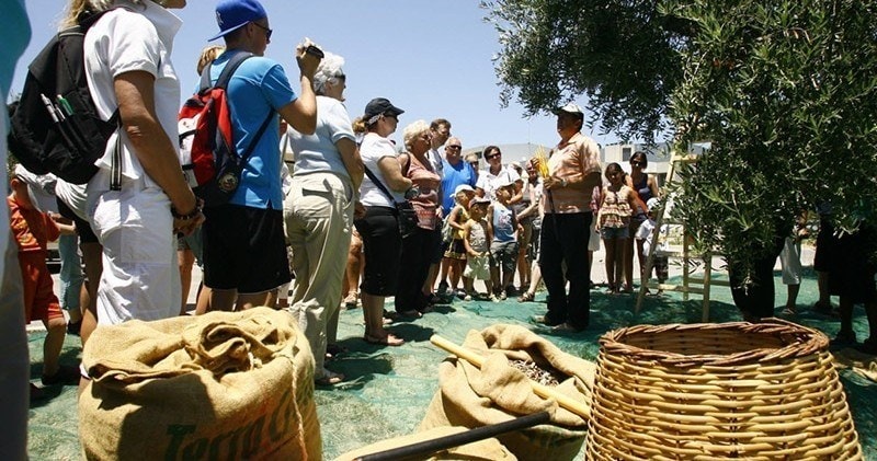 discover crete