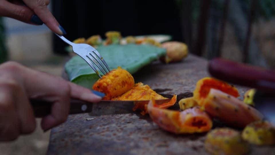 Prickly Pear or Indian Fig