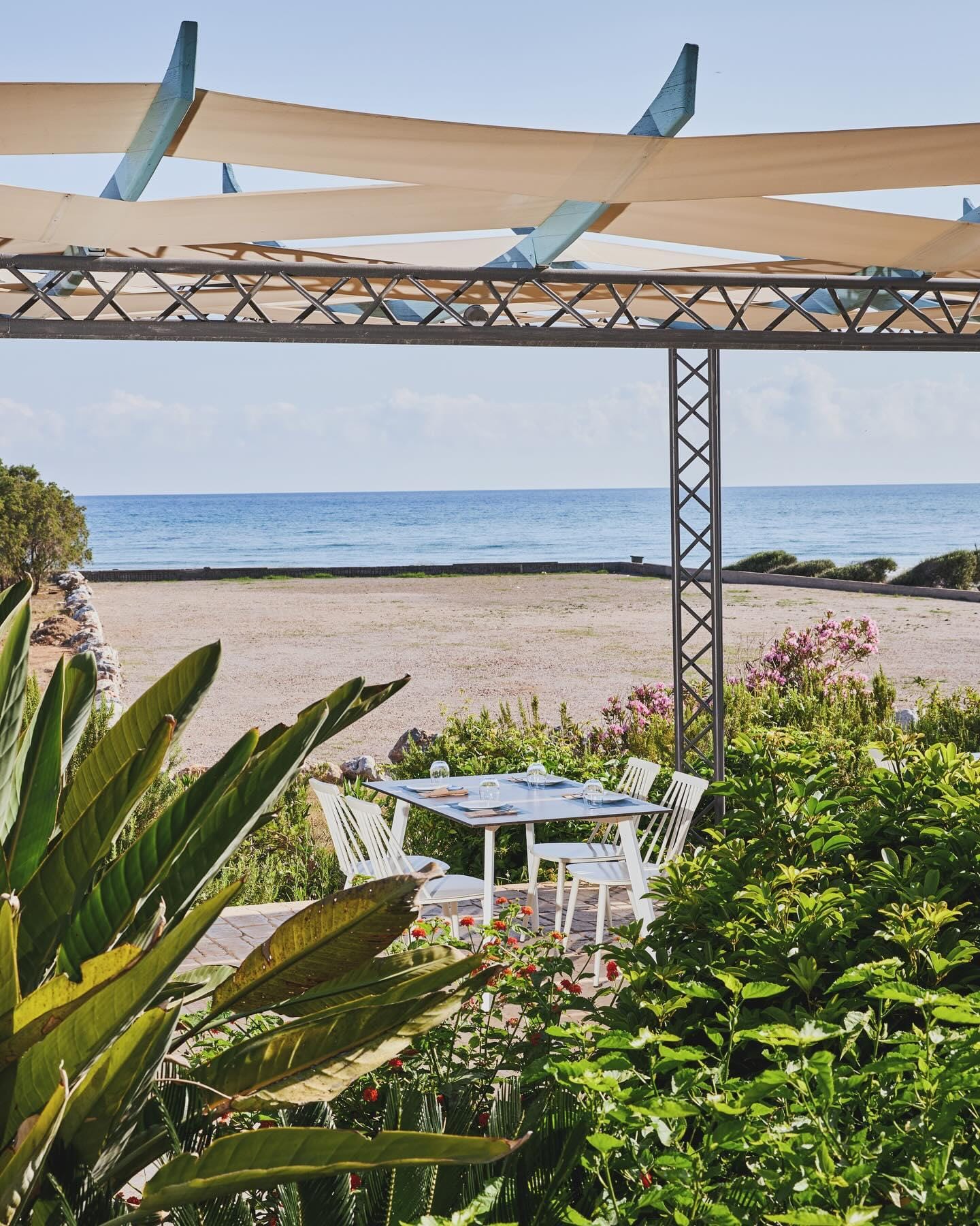 "Cibus": Seafood with a view of the endless blue