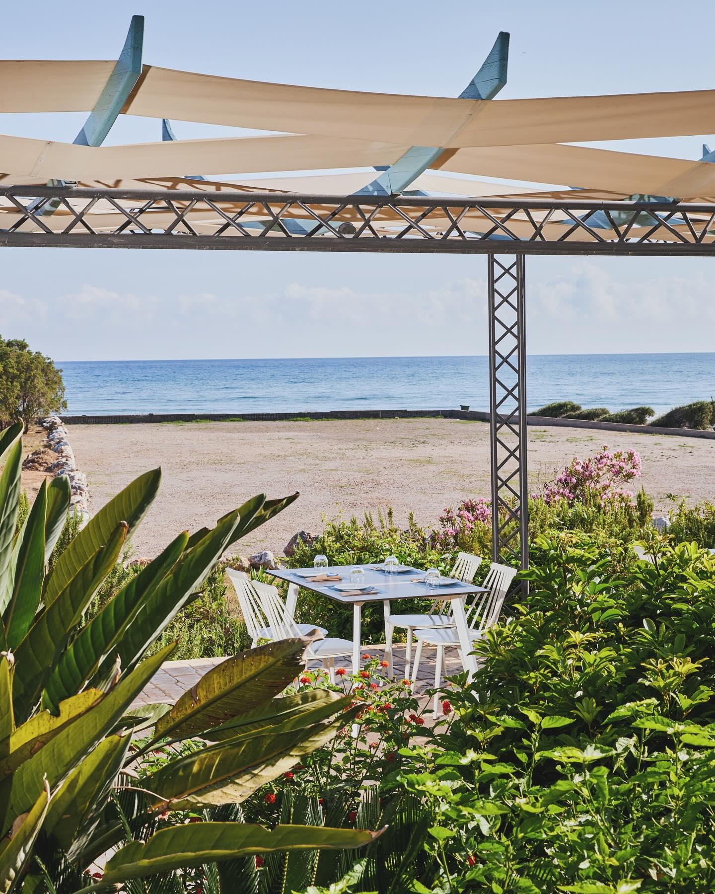 "Cibus": Seafood with a view of the endless blue