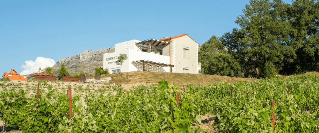 Kourkoulos Winery: An Enchanting Wine Experience Amidst Nature in Patsos village