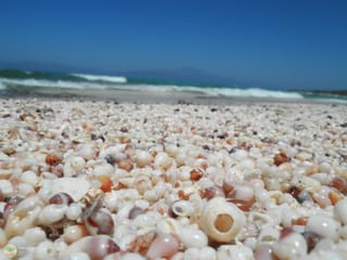 Preserving a Fairytale Destination: Chrysi Thrives Without Visitors!